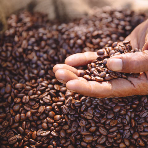 Why choose Liyasha Ceylon Coffee