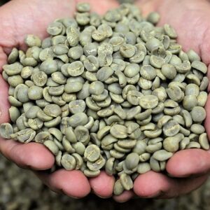 Liyasha Ceylon Arabica Specialty Green Beans